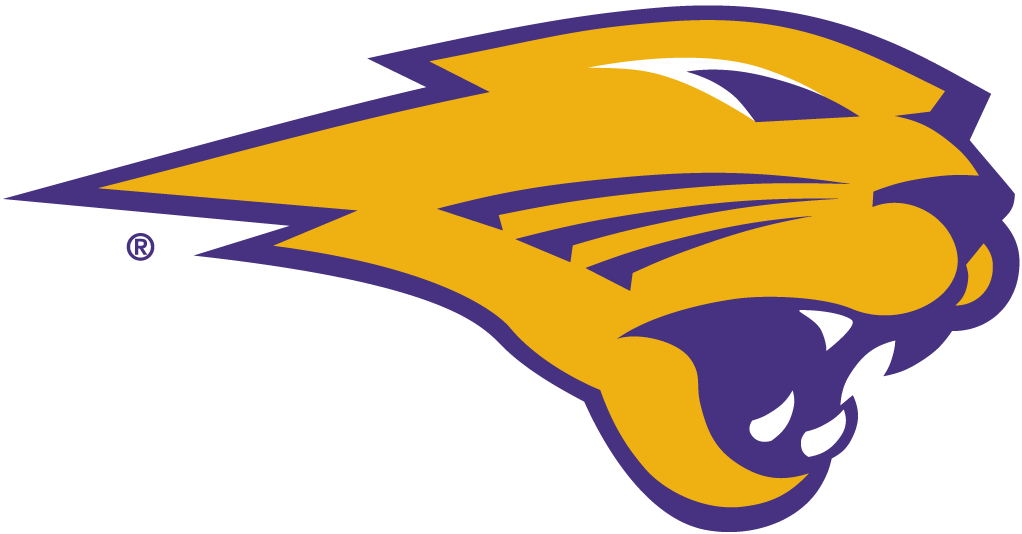 Northern Iowa Panthers 2002-Pres Partial Logo iron on transfers for clothing
